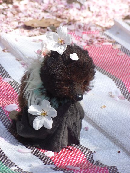 Yahoo!オークション - 【保管品】 くま ぬいぐるみ 動物 日本人