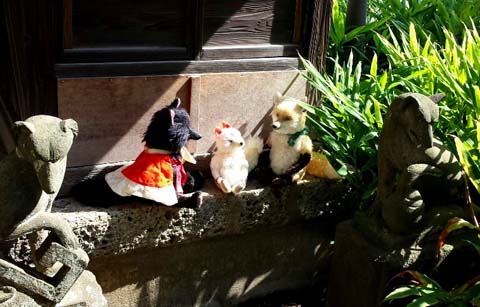 20130830_090349-1.jpg